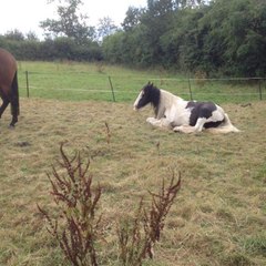 dm_c9c8d535b005a3d25828ed6dc247821b