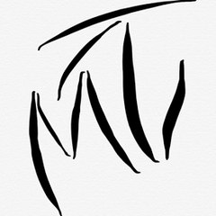 MnZe Tv