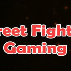 Street Fighter Gaming