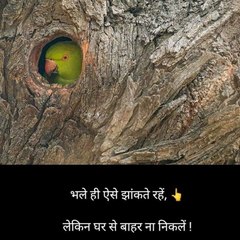 Indian Home made Art