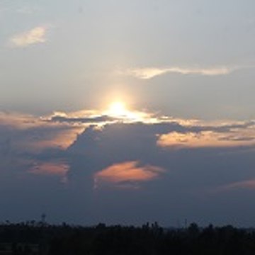 Uprari