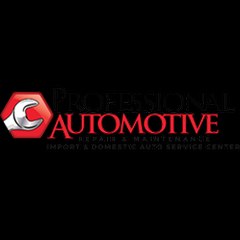 Professional Automotive