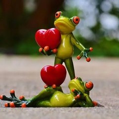 Funny Videos