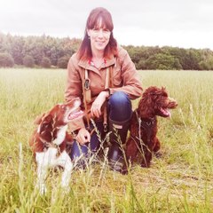 YORKSHIRE DOG WHISPERER