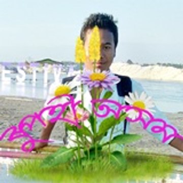 Rupohi Asom