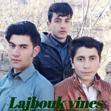 Lajbouk Vines