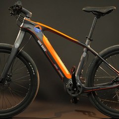 Electric Bikes