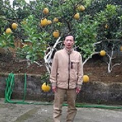Live well - Sống vui
