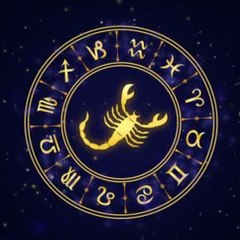 Antares Z81