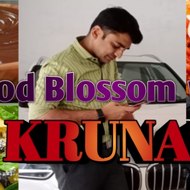 Food Blossom with Krunal