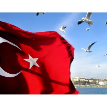 haldem