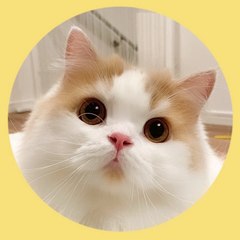 Neko 1