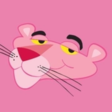 Pink Panther Fun