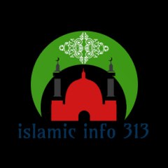 Islamicinfo313
