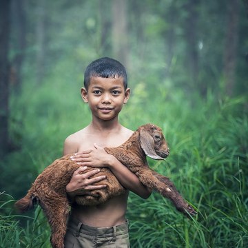Mundo Verde