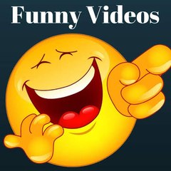 Top Funny Videos