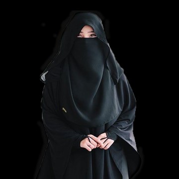 Girlintheveil