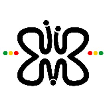 Selassie Networks
