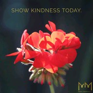 Godwin comedy clinic