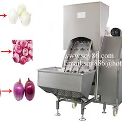 Vegetable Processing Machinery Equipment