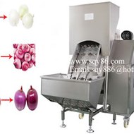 Vegetable Processing Machinery Equipment