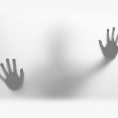 steven paranormal visitors