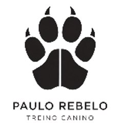 Paulo Rebelo Paulo Rebelo