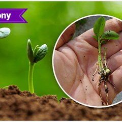 dm_3b55af742fcd1eb7d5838531c21b22c8