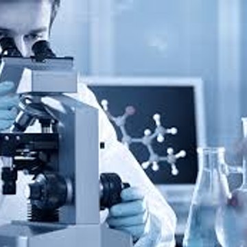 Veritas Lab - DNA Paternity & Drug Testing