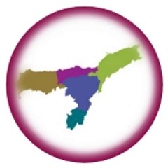 ASOMI channel