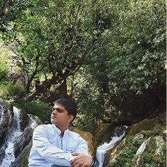 Manish Raz