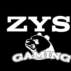 ZYS GAMING