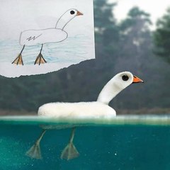 Dugi