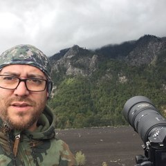 Ruben Silva Landscape