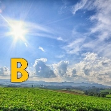 Bright education