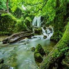 The wonder of nature