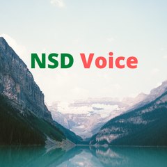 Nsd Voice