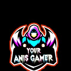 Your Anis Gamer