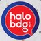 halobdg.com