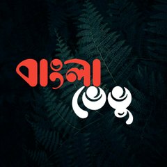 Bangla Vevo