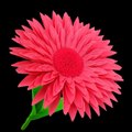 Paper Flower