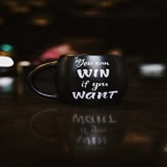Wealth and success