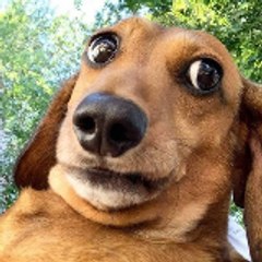 Obsidian tales--horror and creepy stories.