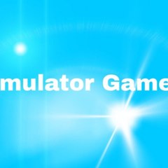 Simulator Game's