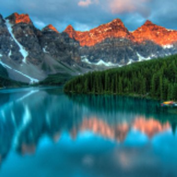 Real Nature org