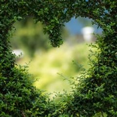 Natural Videos