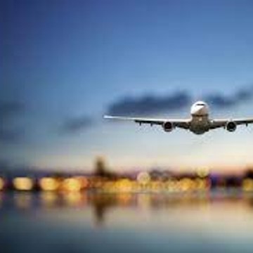 Cricket World and Travel