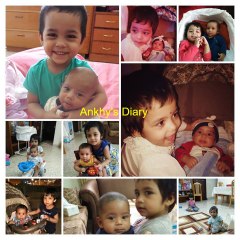 Ankhy's Diary