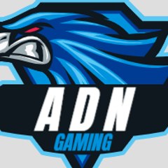 ADN GAMING