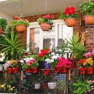 dm_b1a9471a695c4a89db9424cdabf247d9